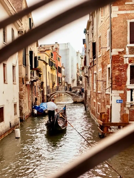 Hide-toru-venicecover