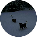 Allison Kempe profile picture